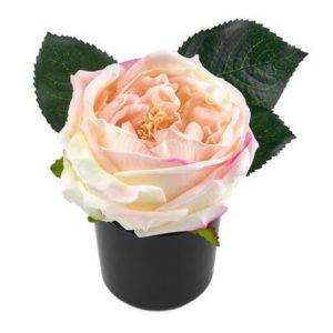 Soliflore Dessert A La Tubereuse Diffusor