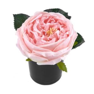 Soliflore Bouquet Pour Charlie Diffusor
