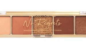 Revolution Pro No Regrets Shadow Palette