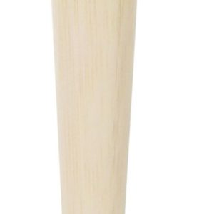 EcoTools Skin Perfecting Brush