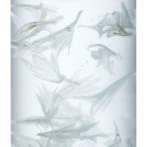 Payot Source Infusion Hydratante Repulpante