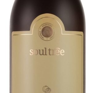 SoulTree Apricot Moisturiser