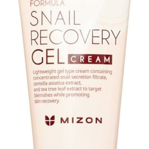 Mizon Snail Recovery Gel Cream