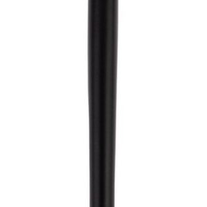 Parisa Cosmetics Sponge Brush P17