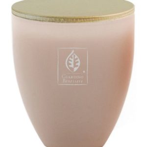 Giardino Benessere Rosa Dorotea Candle