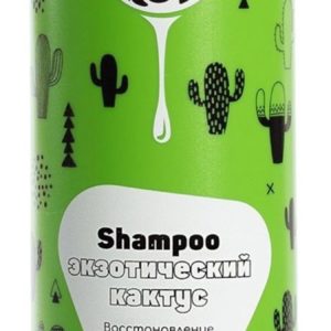 Cool Rule Shampoo Recovery & Care Exotic Cactus