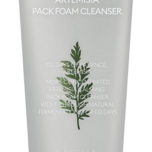 Missha Artemisia Pack Foam Cleanser